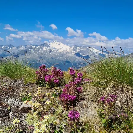 Sportbauernhof - Hochalmblick ゲストハウス Krems in Kaernten
