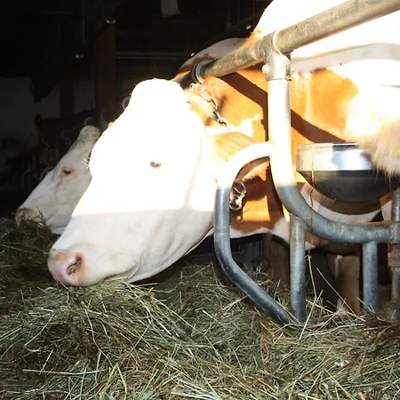 Sportbauernhof - Hochalmblick 3* Krems in Kaernten