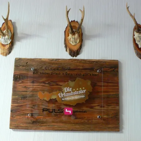 Sportbauernhof - Hochalmblick Krems in Kaernten